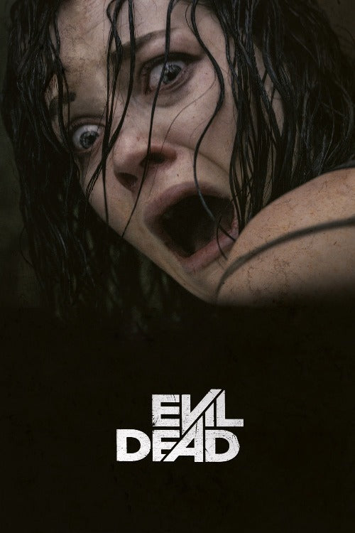 The Evil Dead (Blu Ray, 2013, No Digital)