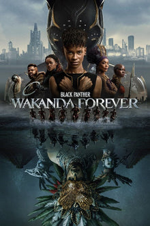  Black Panther: Wakanda Forever - HD (Google Play)