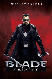  Blade Trinity - HD (MA/Vudu)