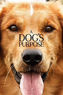  A Dog's Purpose - HD (iTunes)