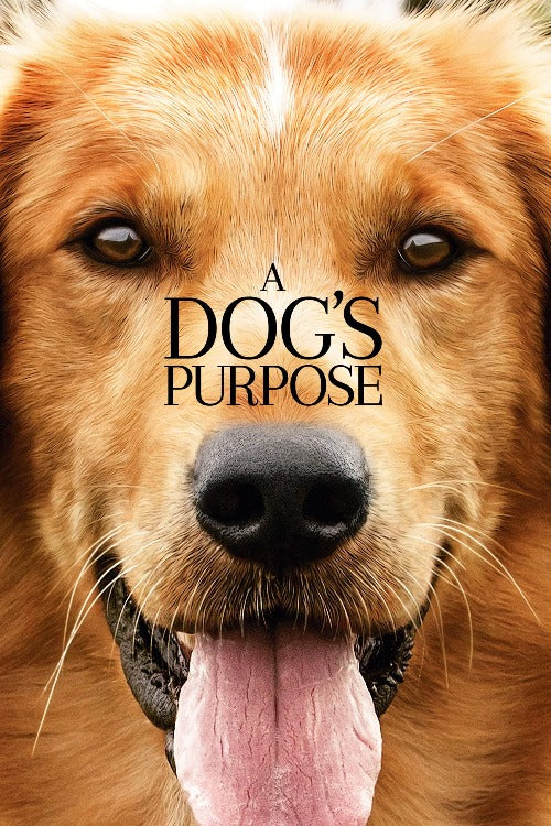 A Dog's Purpose - HD (iTunes)