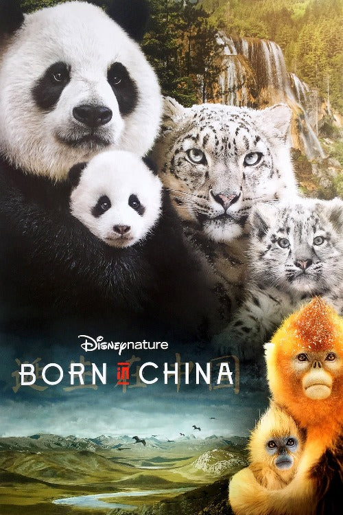 Born in China - HD (Google Play)