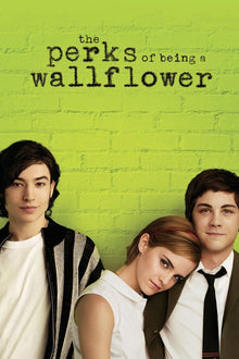  Perks of Being a Wallflower - HD (ITunes)