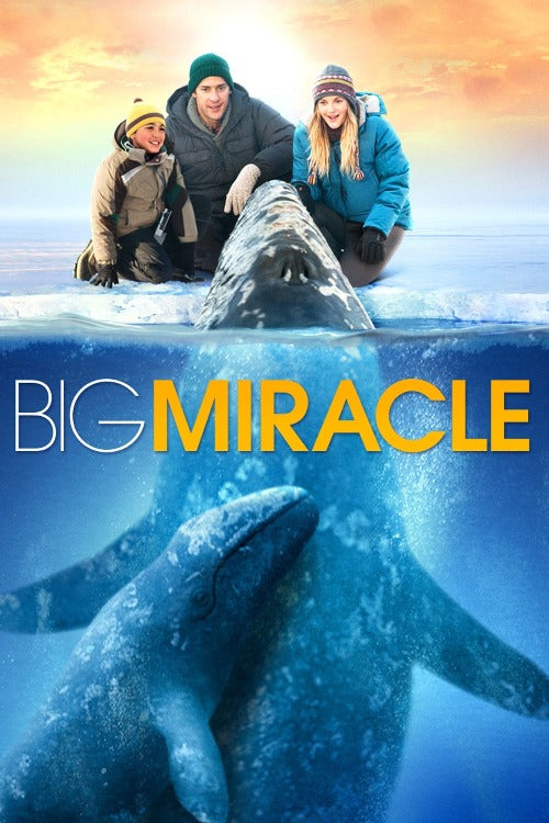 Big Miracle - HD (ITunes)