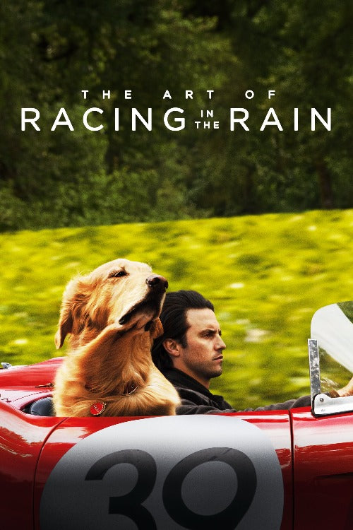 Art of Racing in the Rain - HD (MA/Vudu)