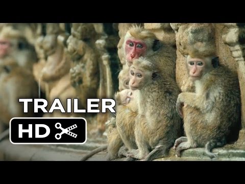 Monkey Kingdom - HD (MA/VUDU)