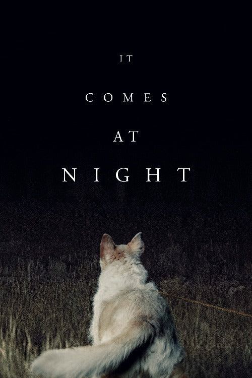 It Comes at Night - HD (Vudu)
