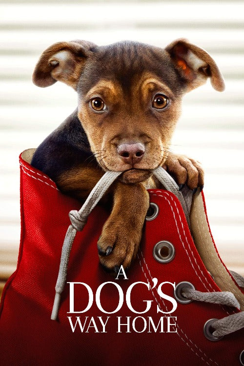 A Dog's Way Home - HD (MA/Vudu)