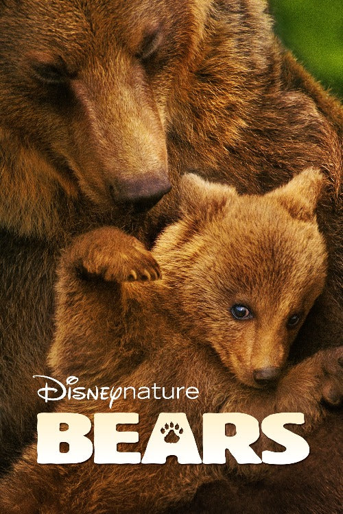 Bears - HD (Google Play)