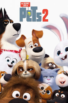  Secret Life of Pets 2 - HD (MA/Vudu)